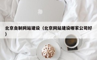 宁津北京自制网站建设（北京网站建设哪家公司好）